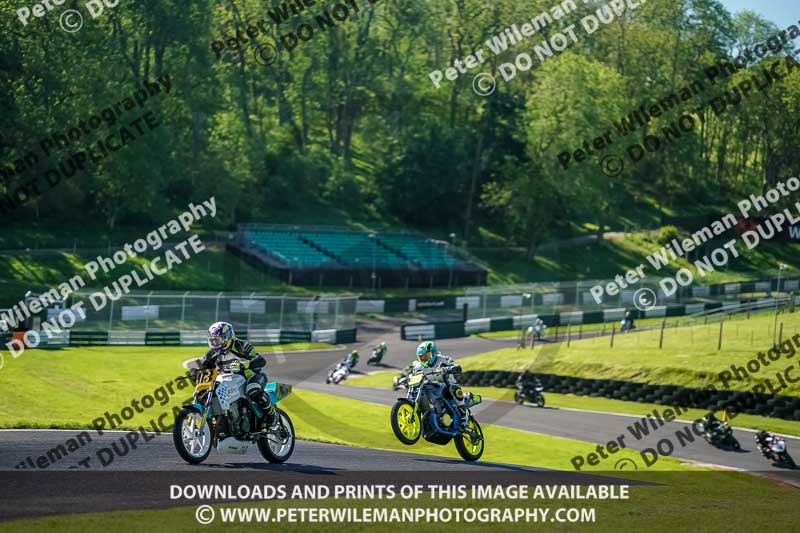 cadwell no limits trackday;cadwell park;cadwell park photographs;cadwell trackday photographs;enduro digital images;event digital images;eventdigitalimages;no limits trackdays;peter wileman photography;racing digital images;trackday digital images;trackday photos